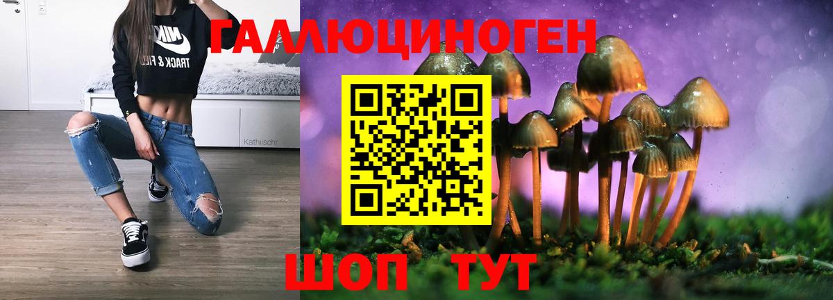 Псилоцибиновые грибы прущие грибы Кашира